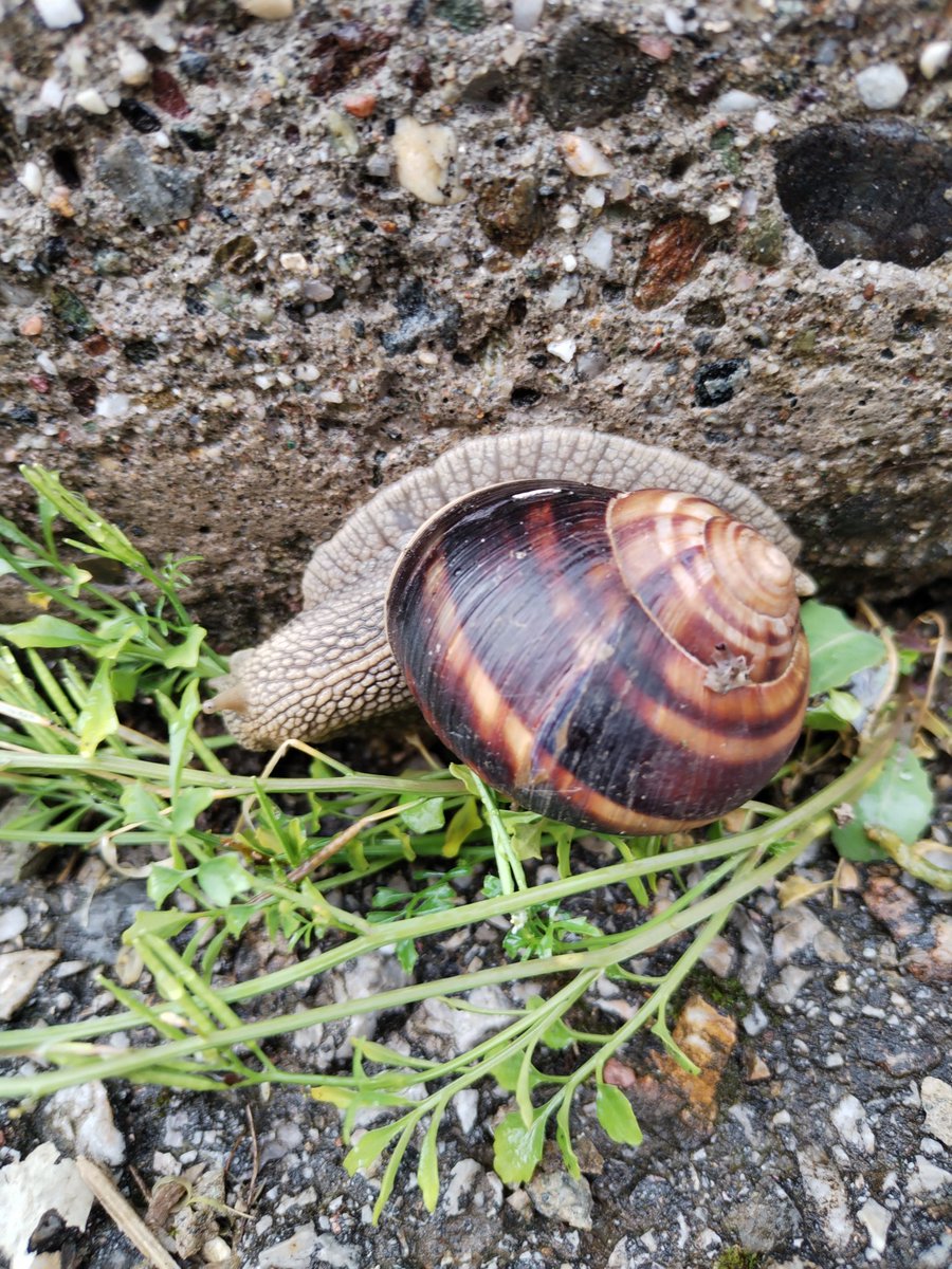 Zeynep🌷 tweet media