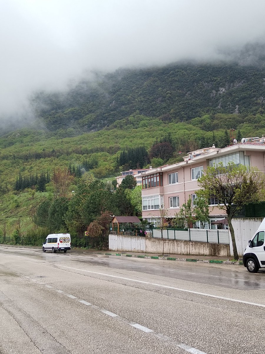 Zeynep🌷 tweet media