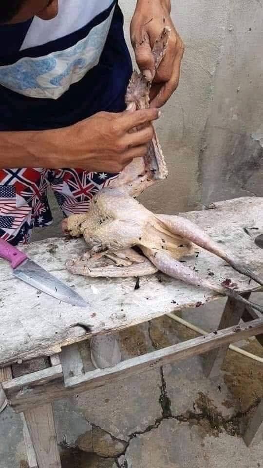 🚨Noticiero-502gt🚨📰🇬🇹📢 (La Voz de la Noticia) tweet media