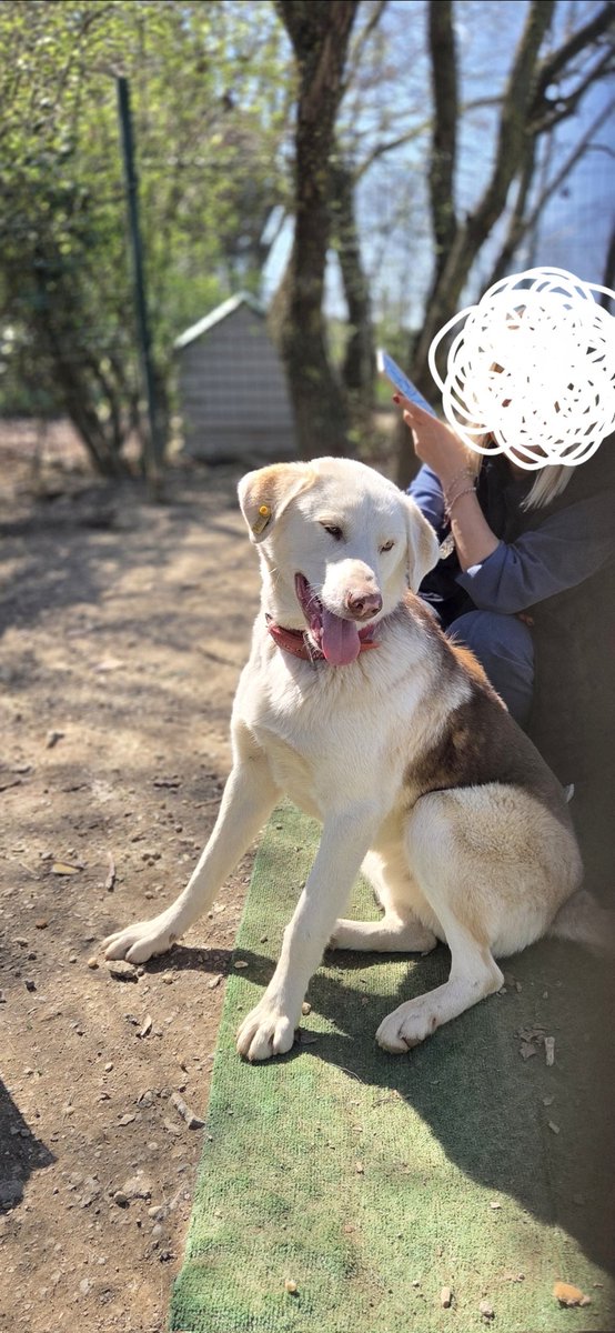 Yeşim Çamlısoy tweet media