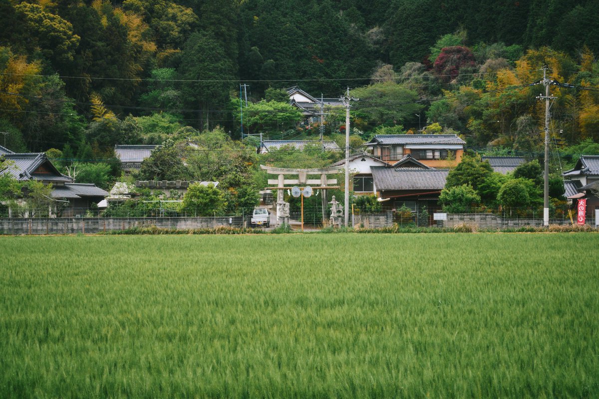 真道 健志 / Shindo Takeshi tweet media