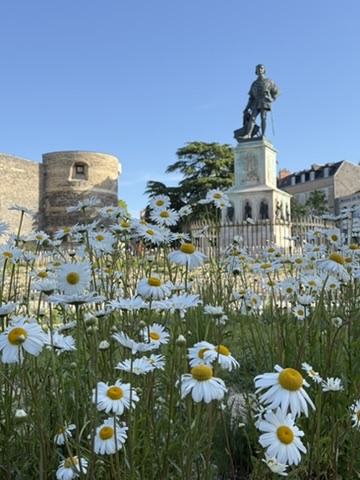 lifefrance's tweet image. Daily #photooftheday from #France - this week in Angers, Loire Valley... 😍
#thegoodlifefrance