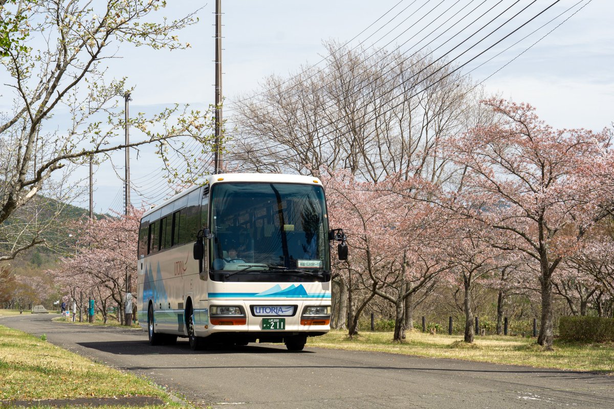 yamakobus's tweet photo. 貸切バスをご利用いただいたお客様より、お写真を頂きました！
大鳥居と共に映るガーラも見劣りせずかっこいいですね！
いつもバスのご利用、素敵なお写真ありがとうございます！ https://t.co/cA9qWisywX