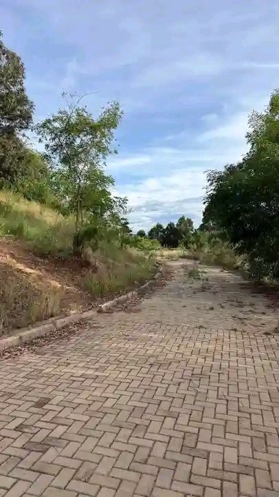 President Wa Jaba 🇰🇪🇰🇪 tweet media