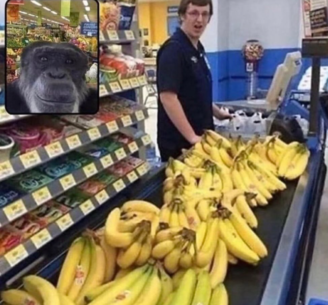 Shitpost 2077 (@shitpost_2077) on Twitter photo 