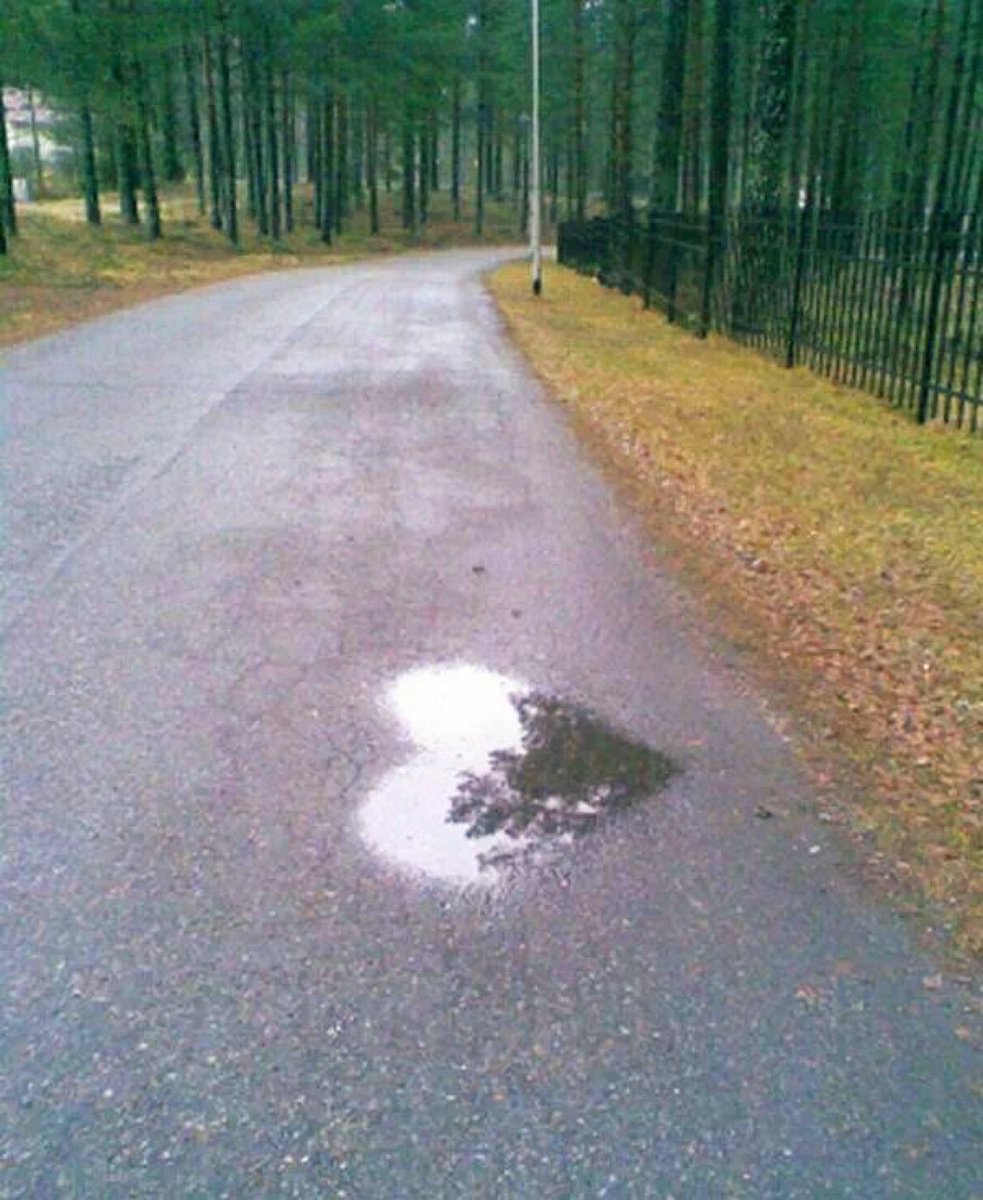 🪷 Ganesh Parshad 💎 tweet media