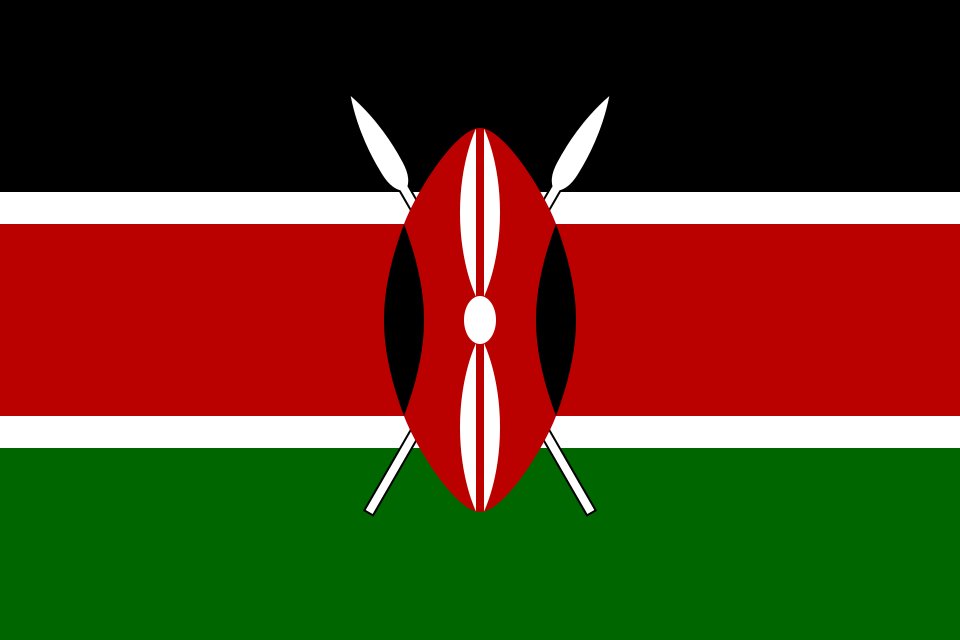 Africa First tweet media