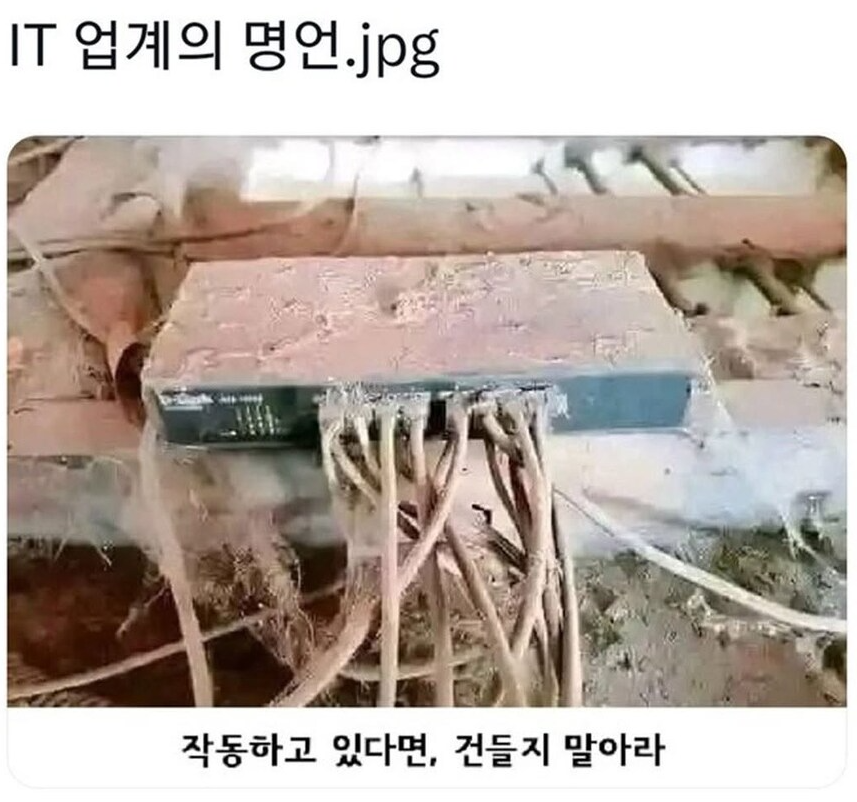 프로그래밍좀비 tweet media