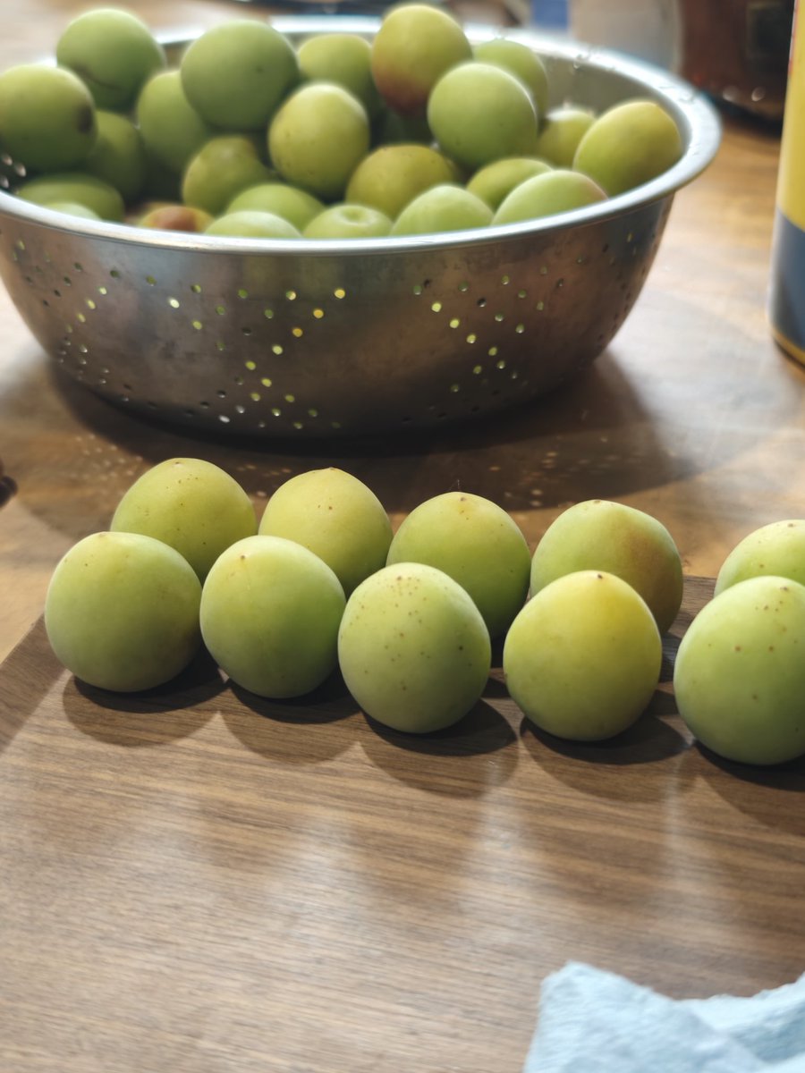 はるを♀飛行機好き腹ペコ tweet media