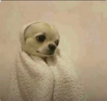 Rey_D🐐 tweet media