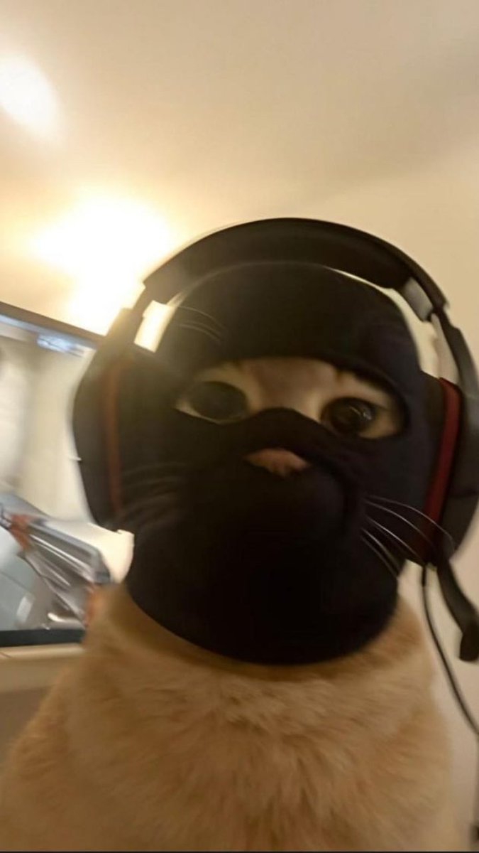 Ｍａｒｋ tweet media