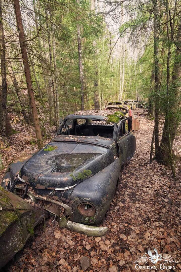 ObsidianUrbex's tweet image. Lost in Sweden's forests lies an abandoned car junkyard, reclaimed by nature. Rusting in peace among spruce as decades pass and moss colonises paint. 📷 More photos - obsidianurbexphotography.com/leisure/classi… #Sweden #ClassicCars #LostPlaces