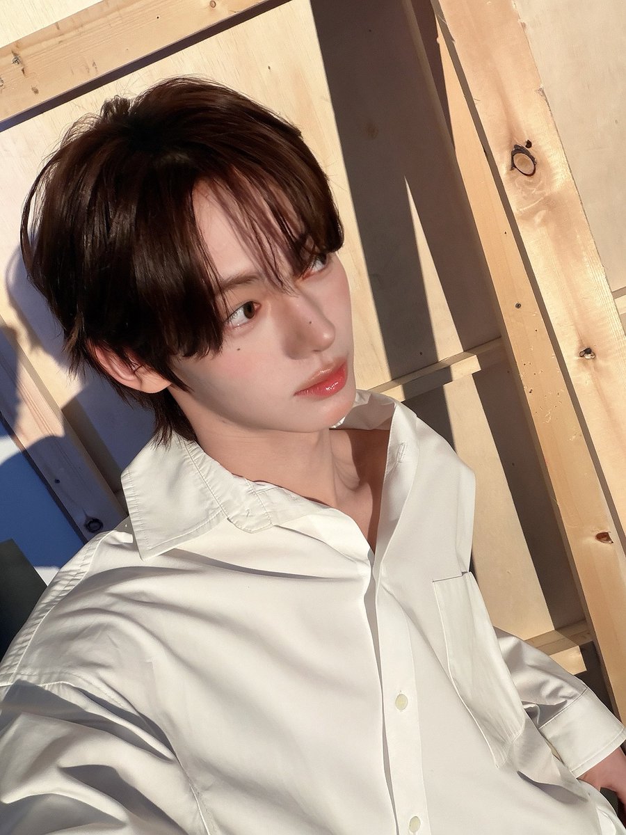 🐈‍⬛ tweet media