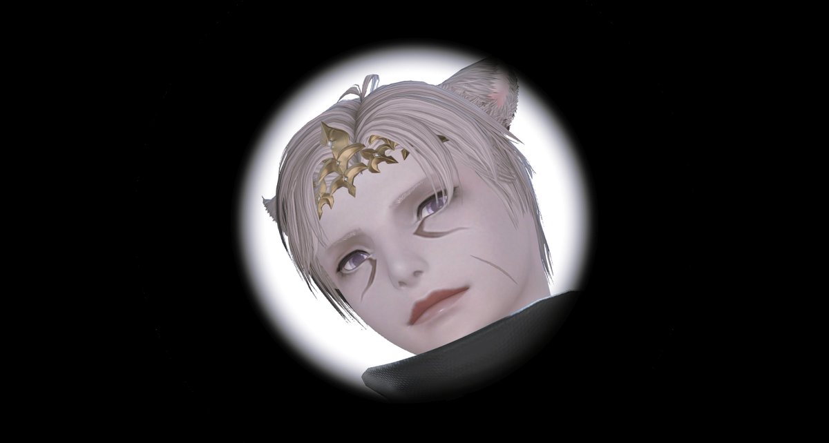 ᴩᴏᴍ tweet media