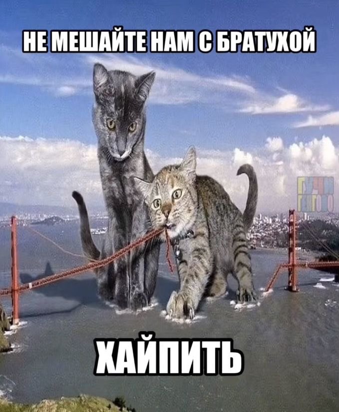 интерактив: первая картинка в Pinterest покажет вам ваш внутренний вайб, а вторая то, вы как воспринимаетесь людьми 

ЧТО ЗА ПИЗДЕЦ У МЕНЯ ОБЫЧНО НОРМ ПИНТ АХАХАЭАЭАЭАЭАА