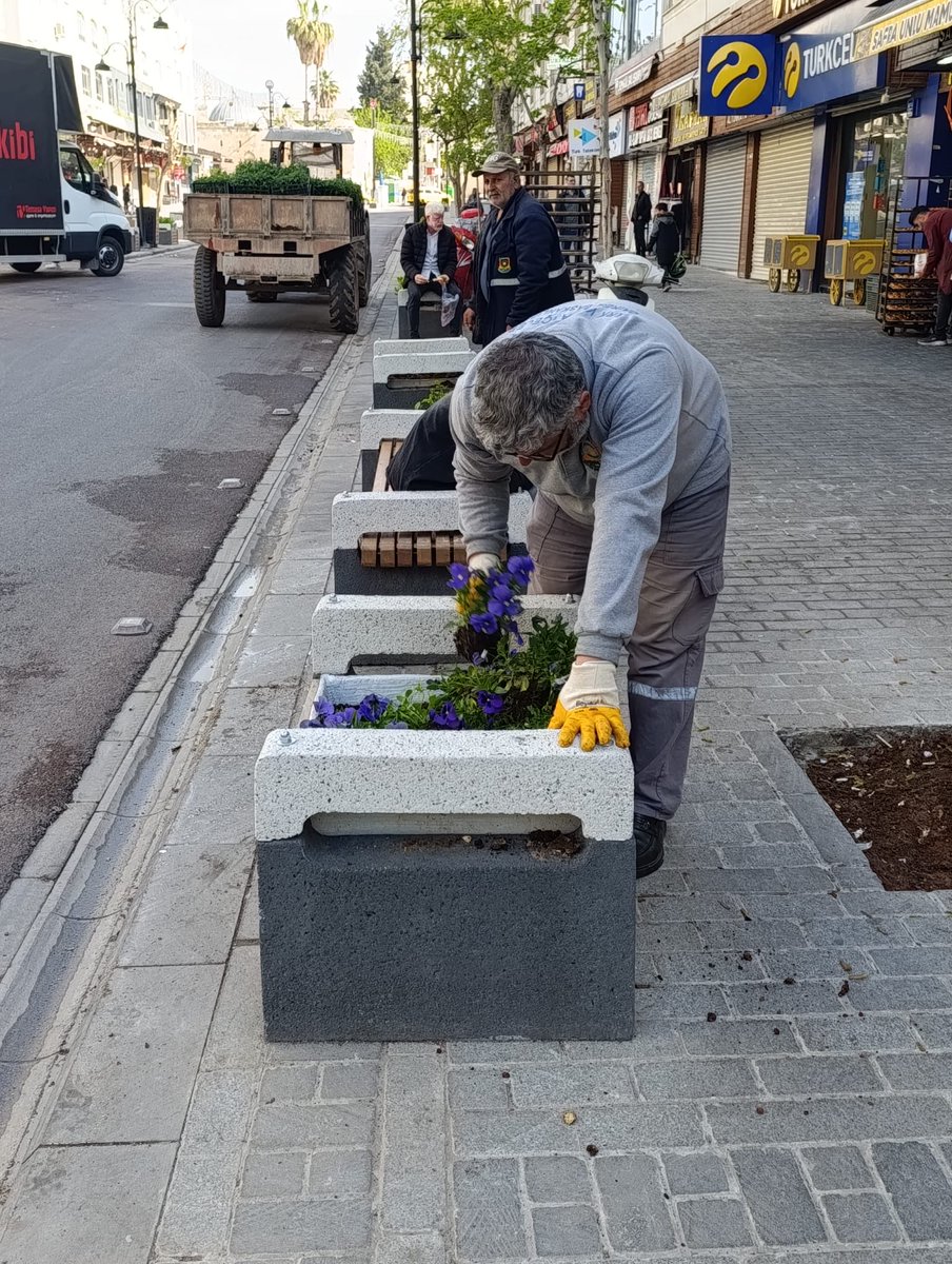 ŞBB PARK VE BAHÇELER 🇹🇷 tweet media