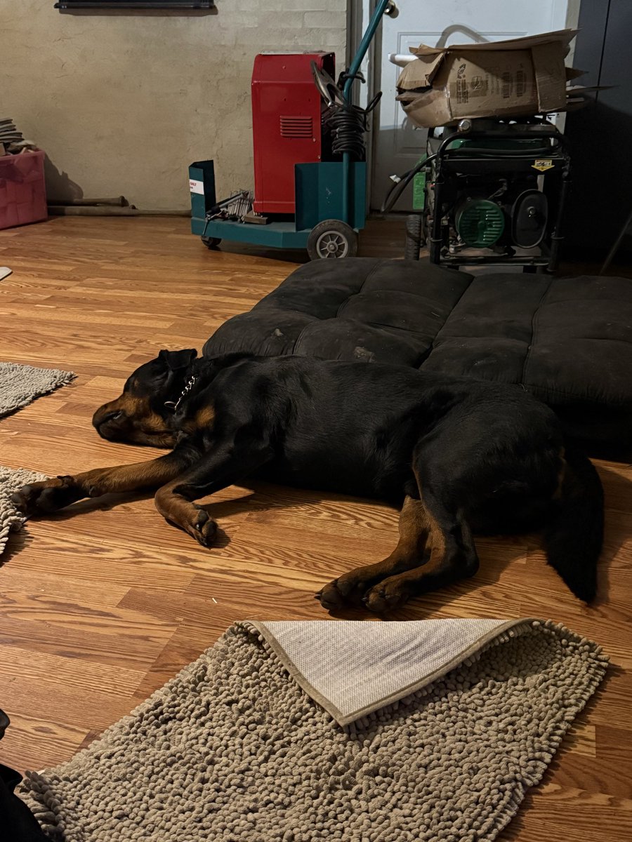 Memphismarkog's tweet image. Bedtime #dog #Rottweiler #love #Rescue