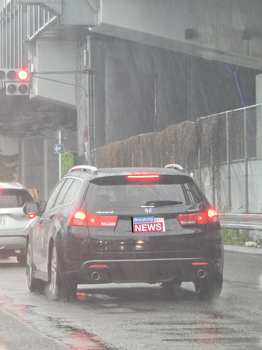 野良の事Accordツアラーや！今日はいい日になりそう！