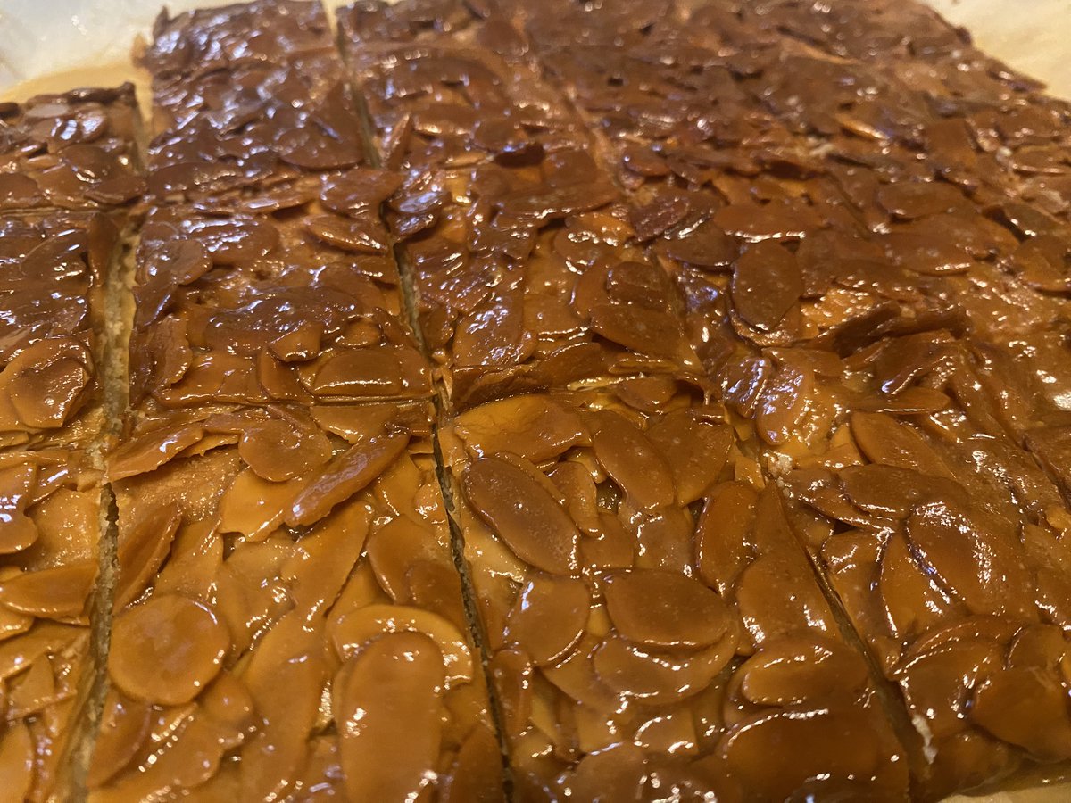 愛猫はにゃ🩷🐈🩵 tweet media