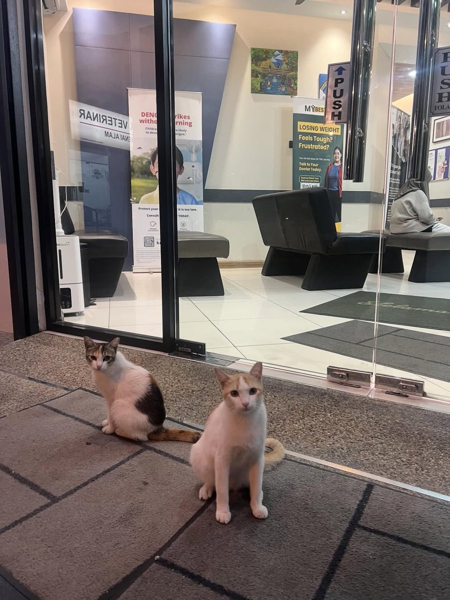 KONGSI VIRAL🇲🇾 tweet media