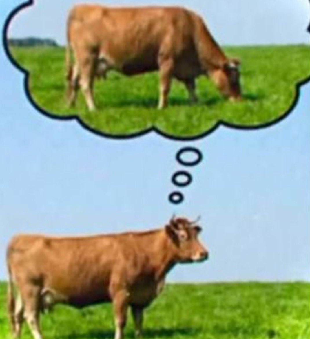 🏳️‍⚧️ Evil Amber 🏳️‍⚧️ tweet media