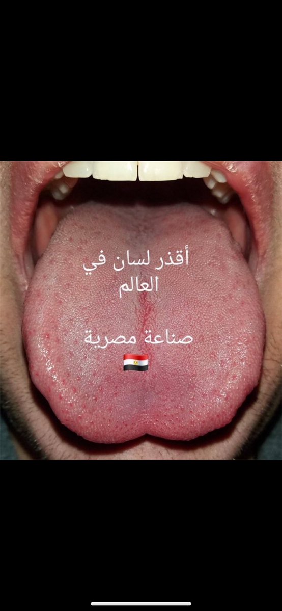 سعد tweet media