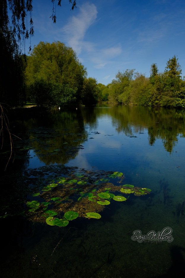 SamWlandscapes's tweet image. Blue skies at Charlton on Monday morning #landscapes #nature #VitaminN