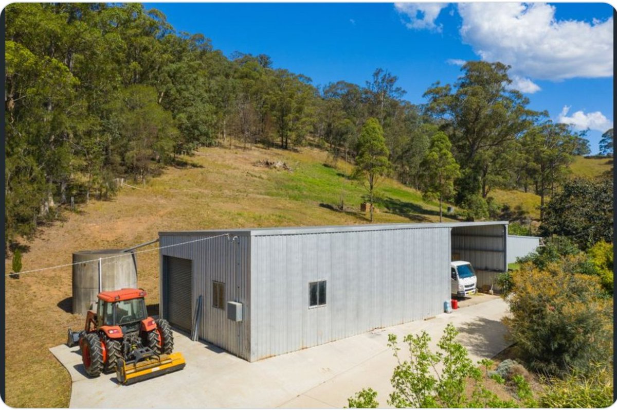 BSV Social Impact tweet media