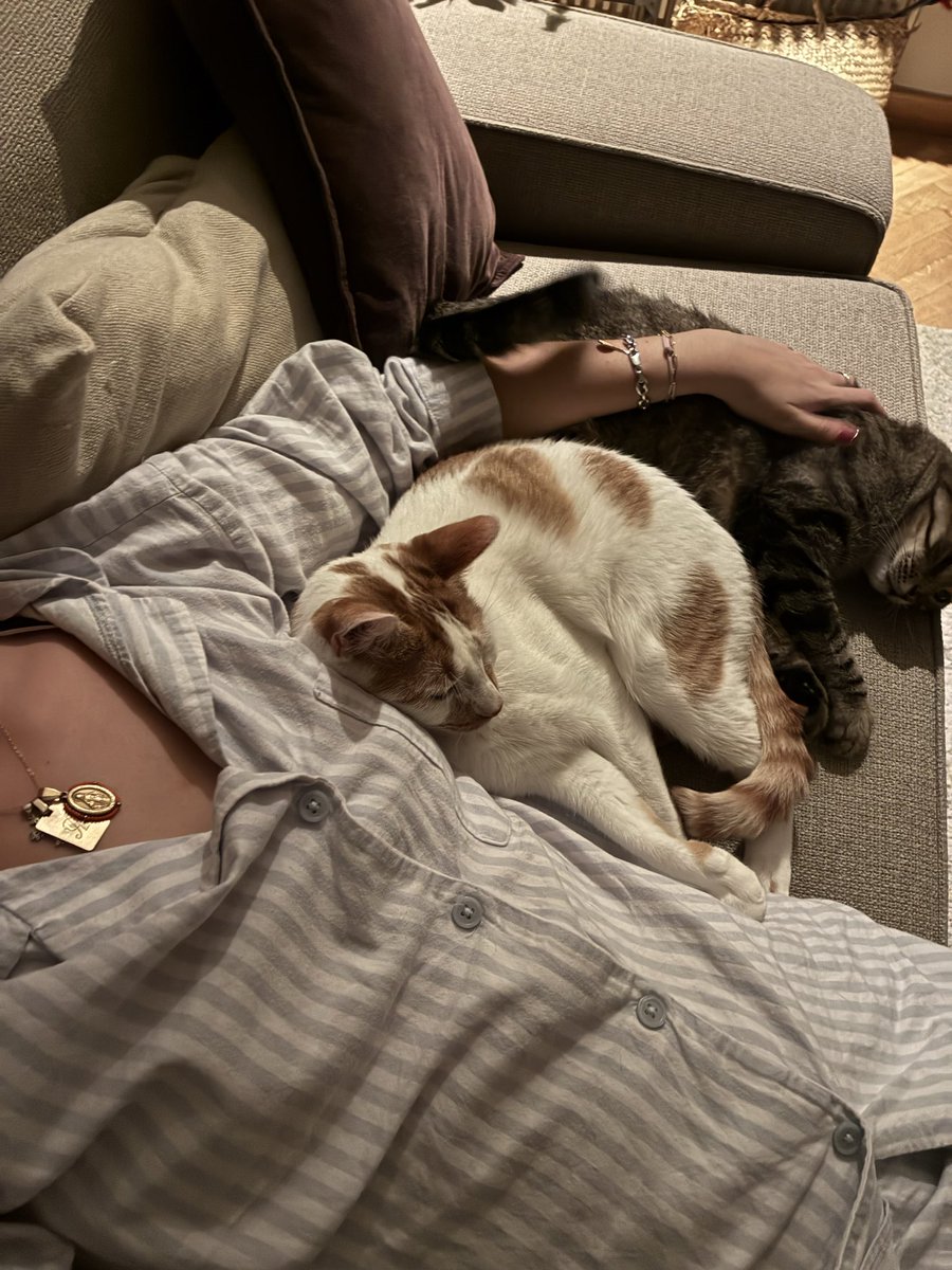 anina______'s tweet photo. God’s favourite (no son mis gatos) https://t.co/aBO0lghSvk