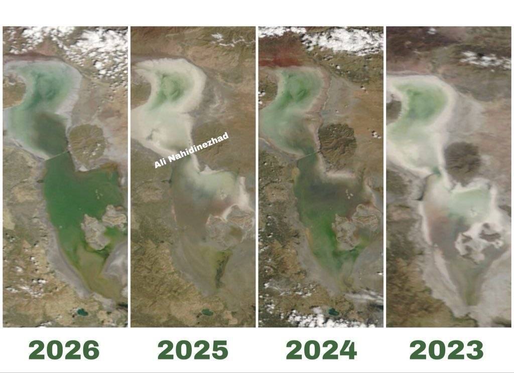 Sanaz 🎒 tweet media