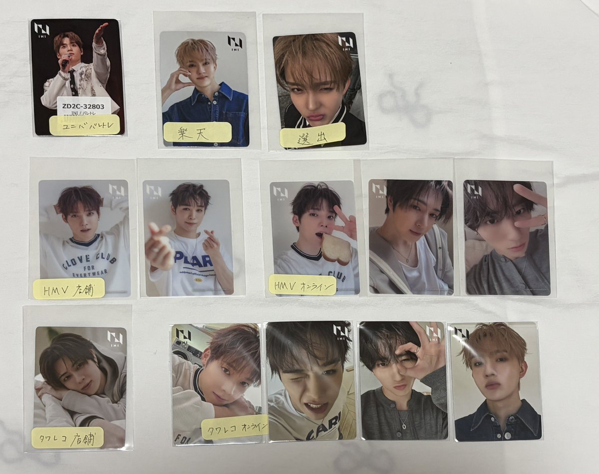 🐶🌊 tweet media