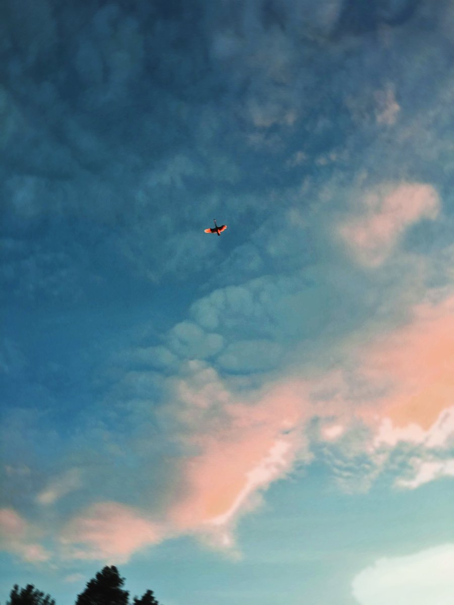 ㍘azertynk #1312ACAB tweet media