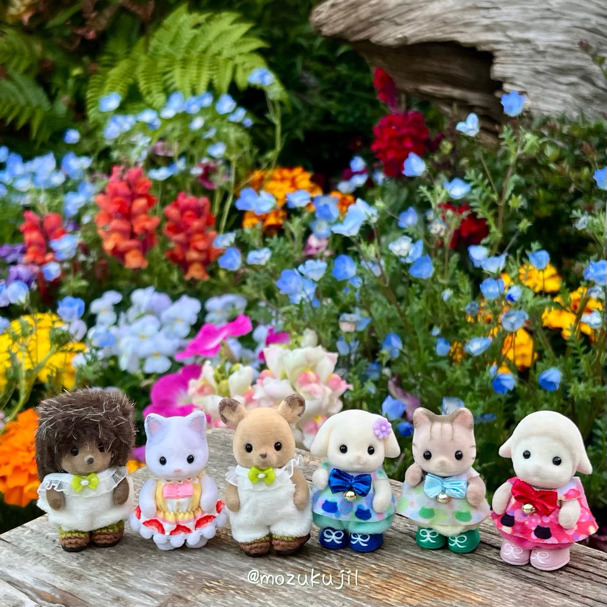 も ず く 🦌🦔 tweet media