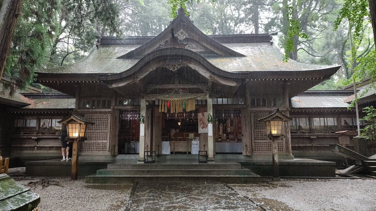 感写感激 tweet media