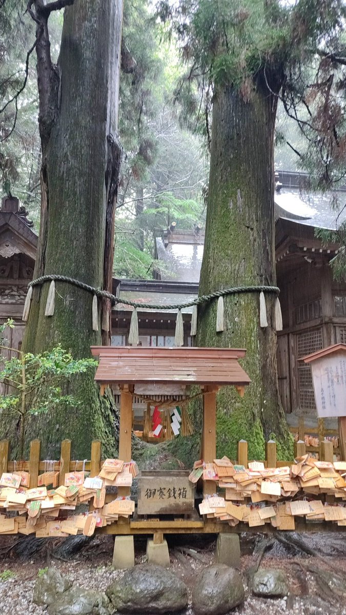 感写感激 tweet media