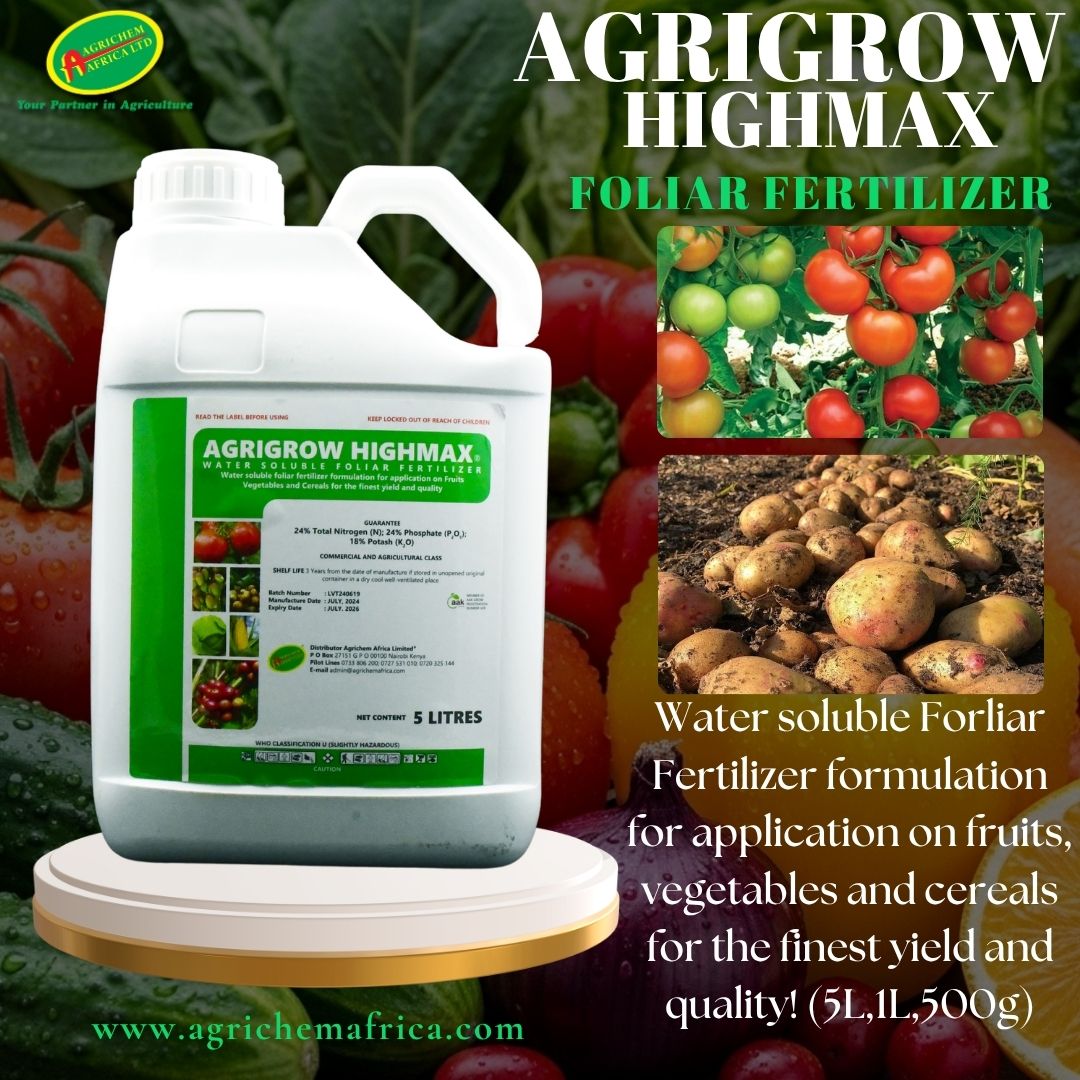 AgrichemAfrica's tweet image. 🌱 AgriGrow Highmax (24:24:18) by Agrichem Africa delivers balanced crop nutrition for vegetative growth &amp;amp; flowering.

✔ NPK + trace elements
✔ Fast foliar absorption
✔ Supports yield &amp;amp; quality

#AgriGrowHighmax #CropNutritionKE #SmartFarming