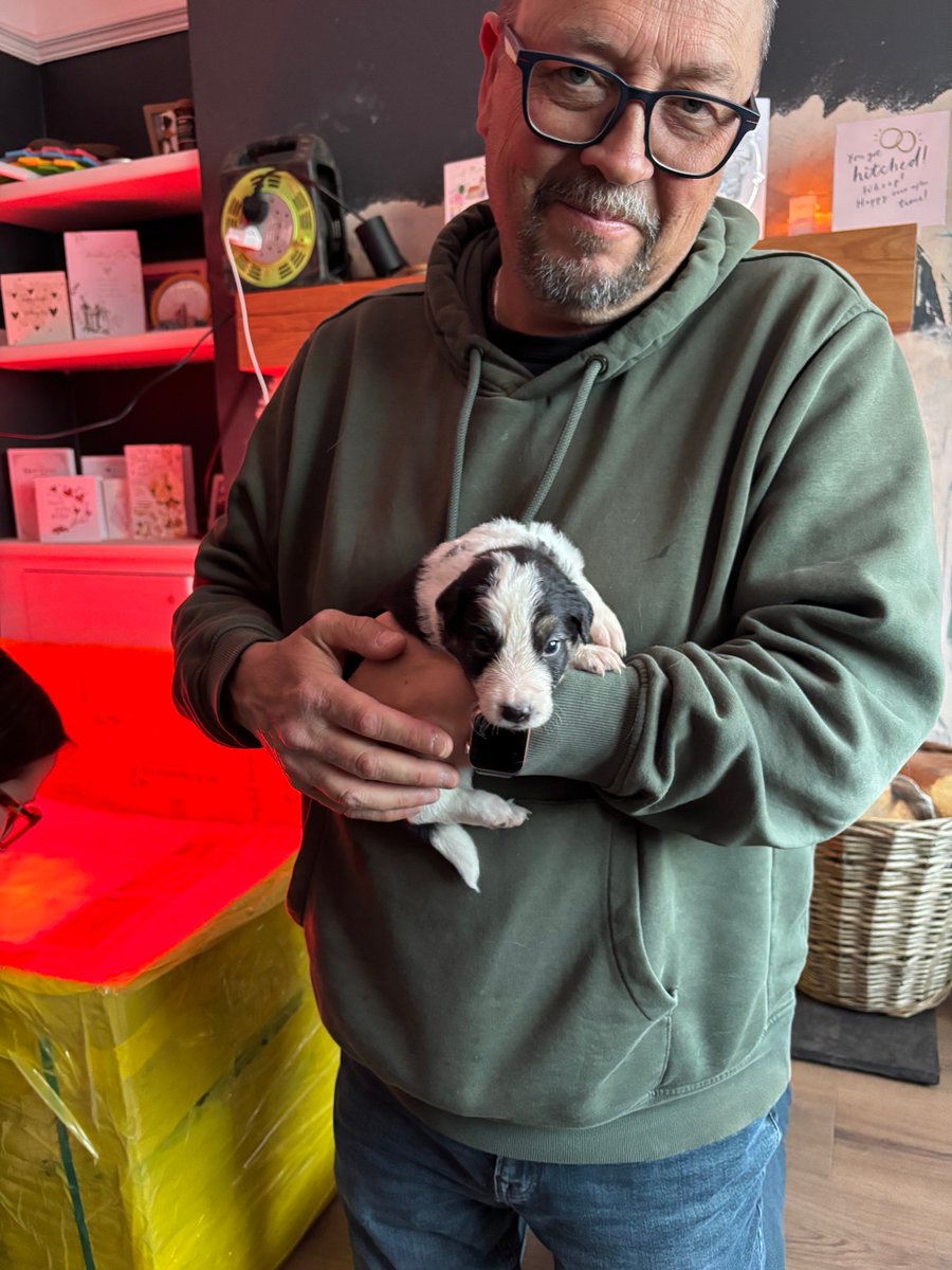 Puppy Bess and Auntie Kes tweet media