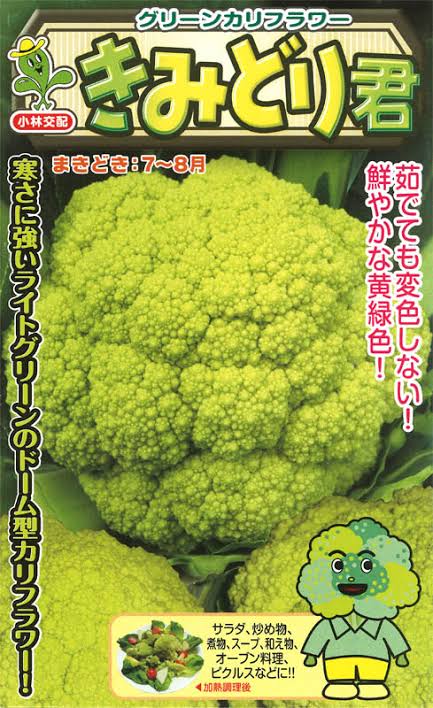 _llca's tweet photo. ロマネスコがグリーンカリフラワーとして売られてる…と思ったら普通に緑のカリフラワーもあるらしい
よく見たら円錐じゃないし
左のはオレンジカリフラワーじゃなくて『オレンジ色のカリフラワー』なのは何か意味あるのかな https://t.co/tM4H428Grg