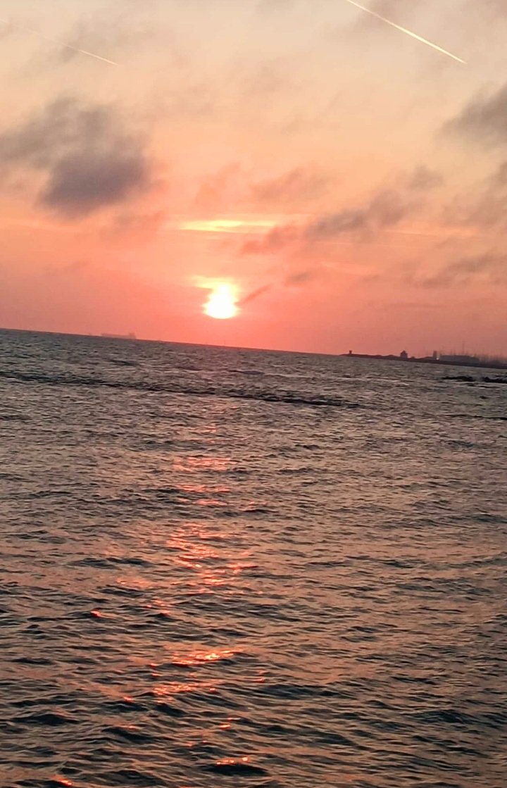 rita marzolo tweet media