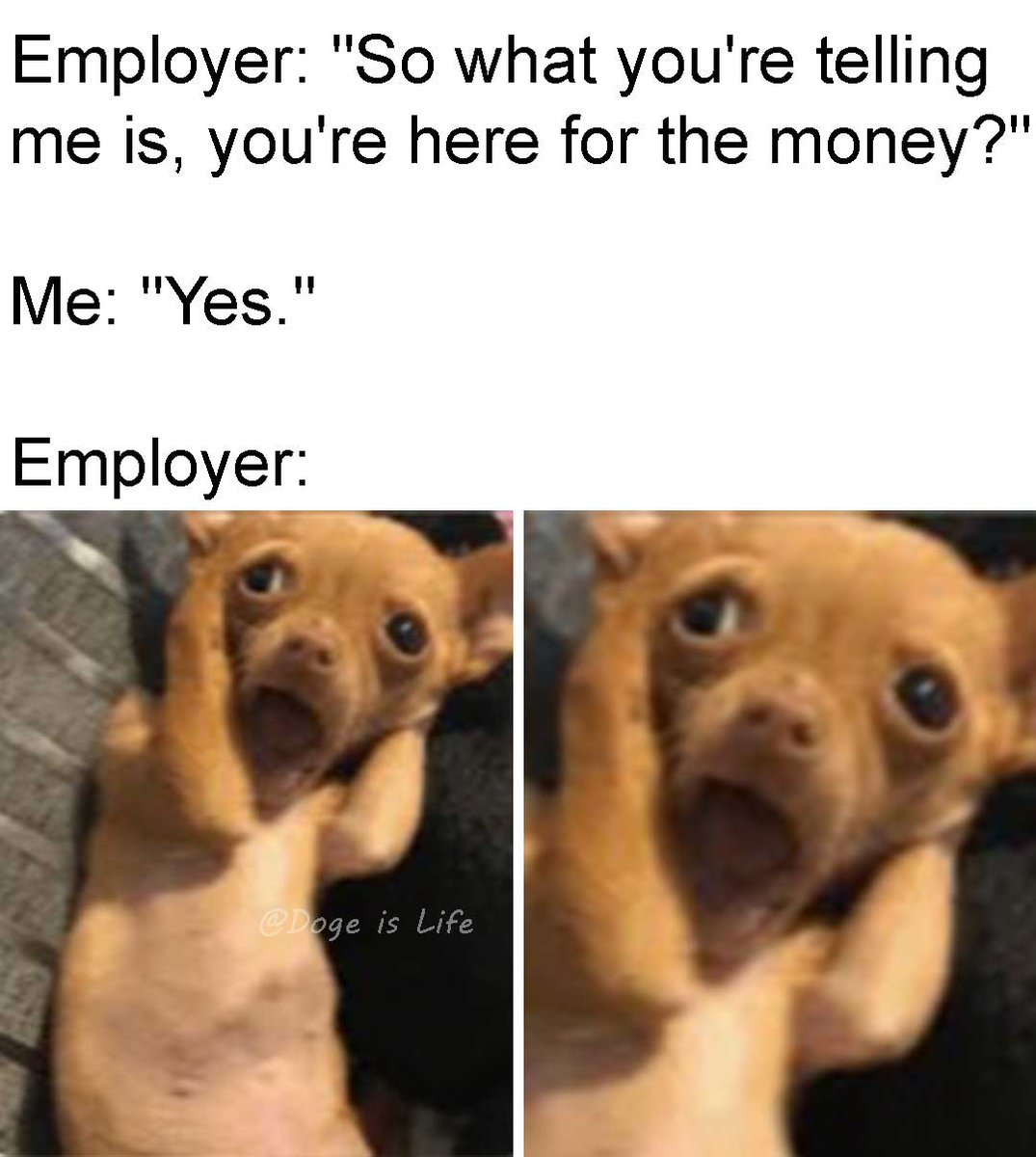 Doge_Is_Life_'s tweet image. Employer: shocked Pikachu face. 😂
#dogmeme #dogmemes #doggo #doge #DogeisLife #funnydog #funnydogs #funny #meme #memes #employer #money #employee