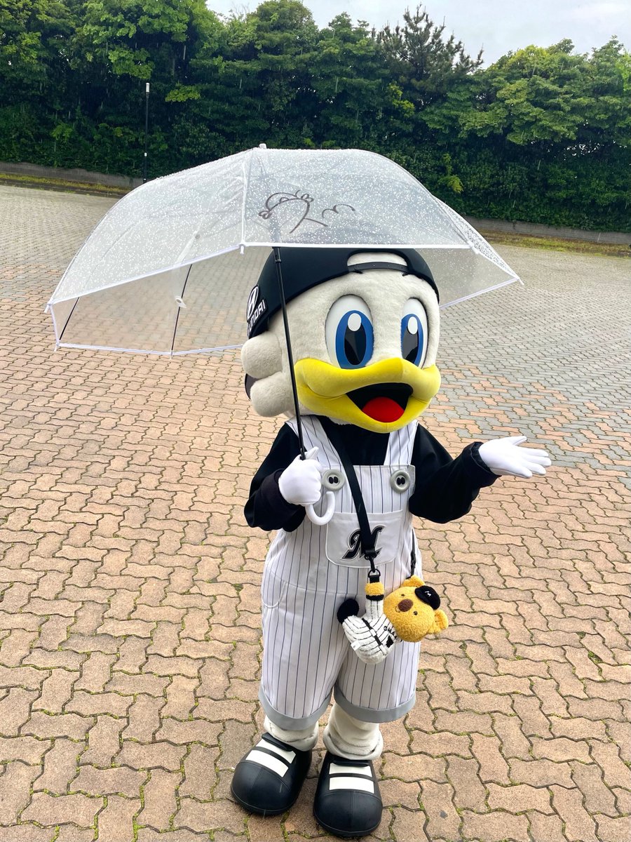 あめでちゅうしになっちゃったけど、またらいしゅうあおうね☆ ズー