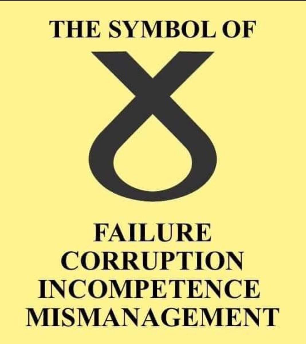 Scoobie Doo 💎 tweet media