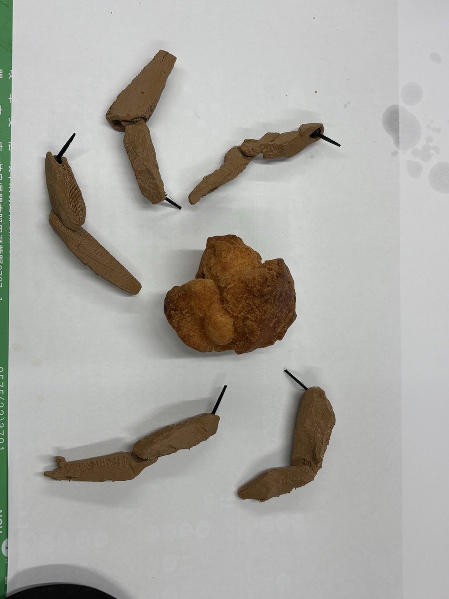 Kaoru_Hayakawa's tweet image. 今日　沖縄料理のお店で
レジでROCKYみたいな
サーターアンダギーに出会えたので

食べる前に足を付けて記念撮影

#project hail mary rocky  

脚はこちらからいただきました
share.google/1QEsuIbZSY9uhs…