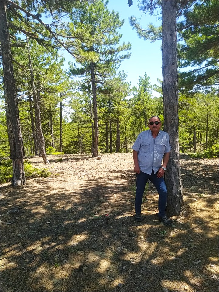 Yıldırım tweet media