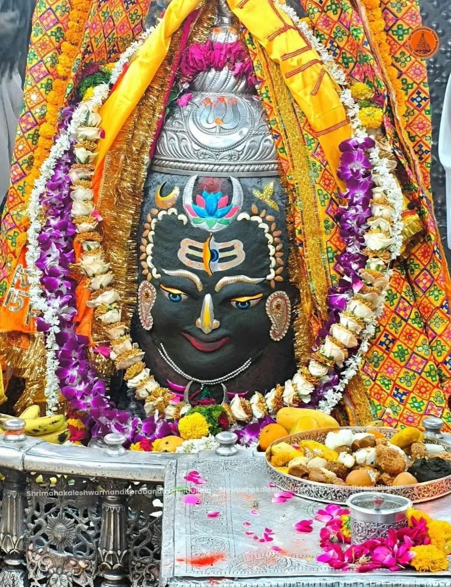 Shalini Verma শালিনী ভার্মা tweet media