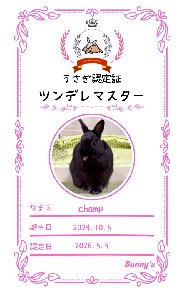 Bunny's tweet media