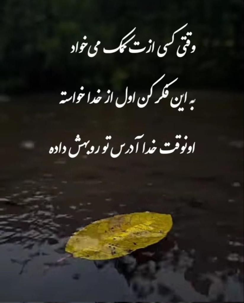 صفحه ما را هم فالو کنین فالوبک حتما 
 🙏😍
#فالوبک_فوری 
#حمايت_انقلابى 
#فالو_بک_تضمینی
#فالو_حمایتی