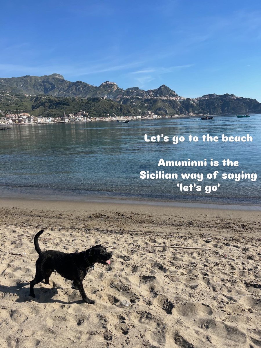 SicilyConcierge's tweet image. Let’s go to the beach …

Amuninni is the Sicilian way of saying 'let's go' 🐬

Currently on my #Sicily #Blog
WHY I LOVE SPRING IN SICILY
whitealmond-privatesicily.blogspot.com/2026/03/why-i-…