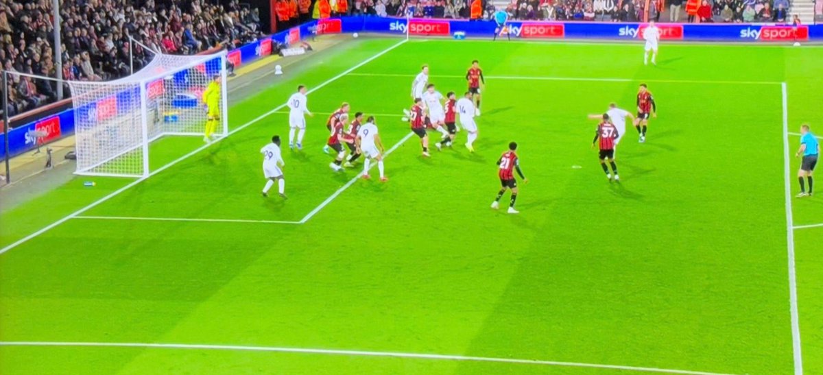 Ashley Grant tweet media