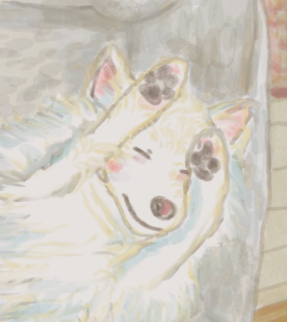 はるかぜ tweet media